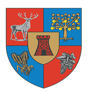 Satu Mare